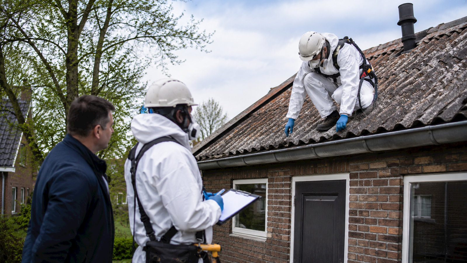 Wat doet Asbestplan BV precies?